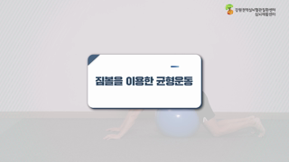 짐볼위에서두다리들고한팔지지하기운동 이미지